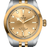 Tudor Black Bay 32 S&G Ref - M79583-0002
