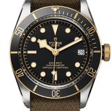 Tudor Black Bay S&G Ref - M79733N-0005