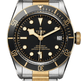 Tudor Black Bay S&G Ref - M79733N-0008